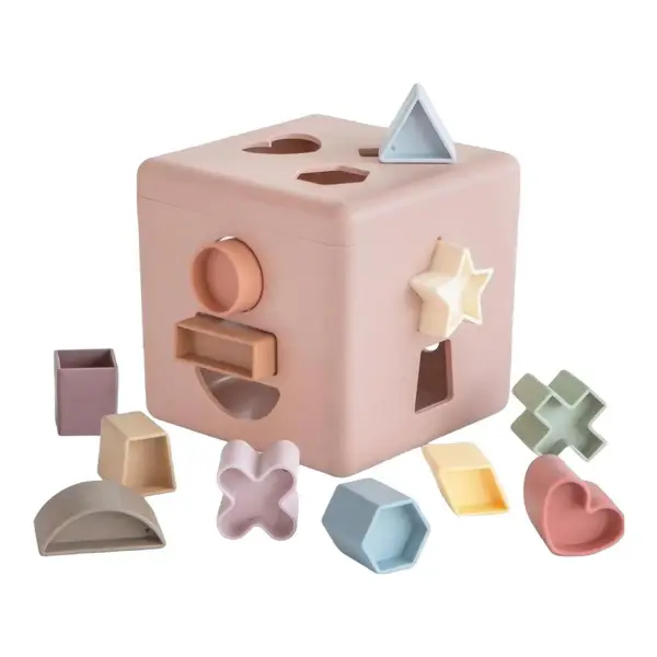 Shape Sorting Box Toy