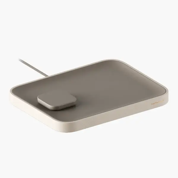 Charger Valet