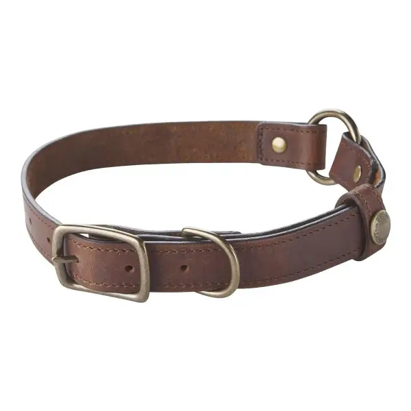 Leather Dog Collar