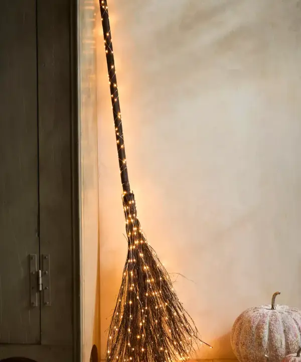 Illuminated Vine Broom