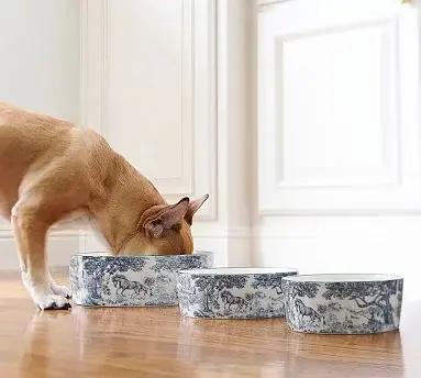 Groveland Toile Pet Bowl