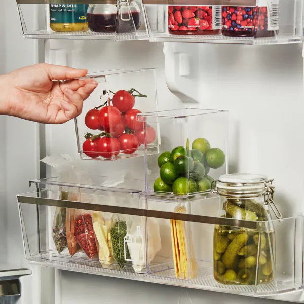 KLIPPKAKTUS Storage box for fridge