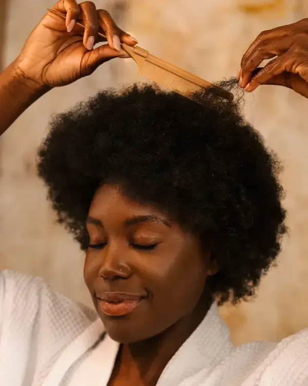 Retractable Comb