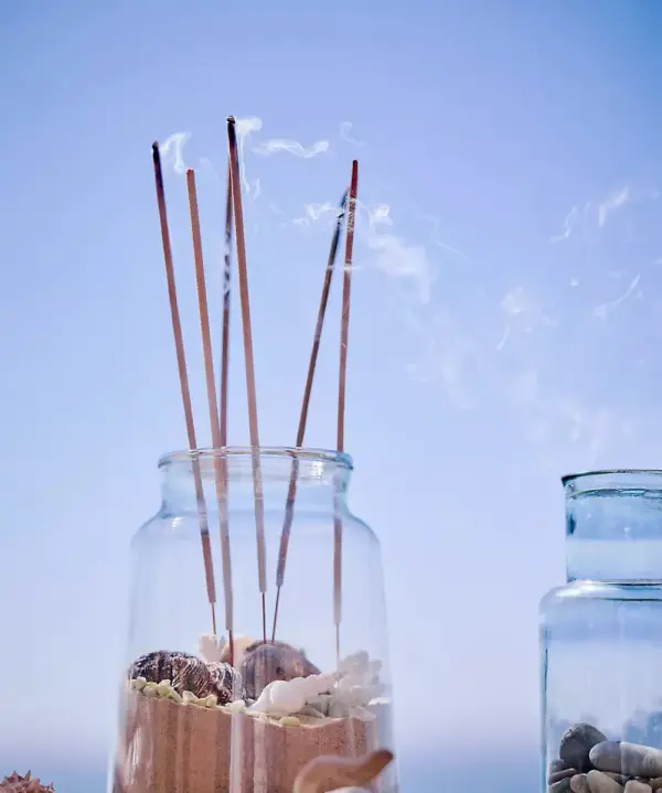 Guard’en Sticks Natural Insect Deterrent, Set Of 28