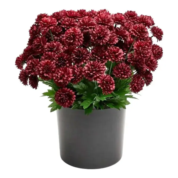 Mum Arrangement Artificial Flowers 16" 