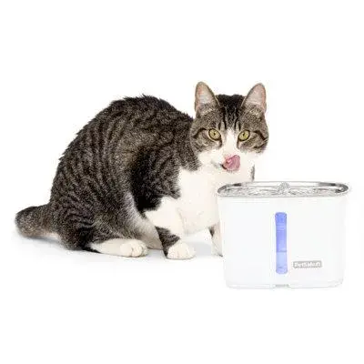 Viva 64 Oz. Stainless Steel Pet Fountain
