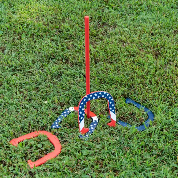Triumph Sports Patriotic Horseshoe with Carrying Case & Reviews | Wayfair