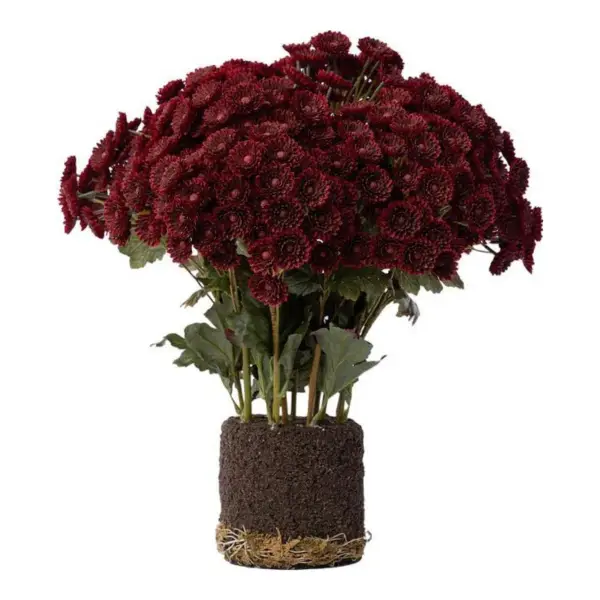 Faux Mum Drop In
