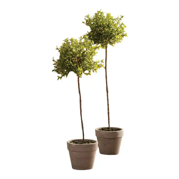 Artificial Thyme Topiary Potted Plant
