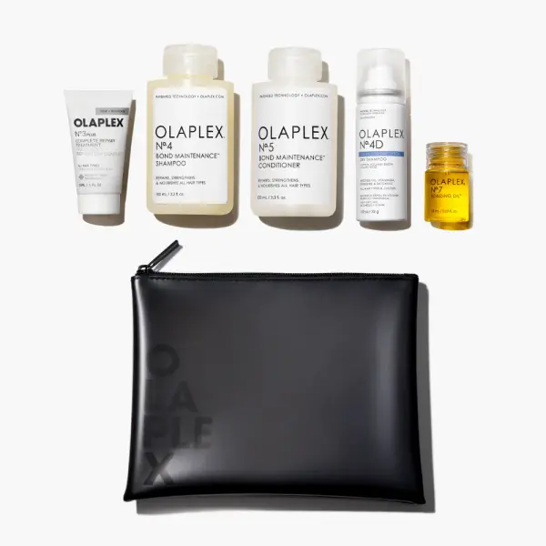 THE HEALTHY HAIR TRAVEL SET