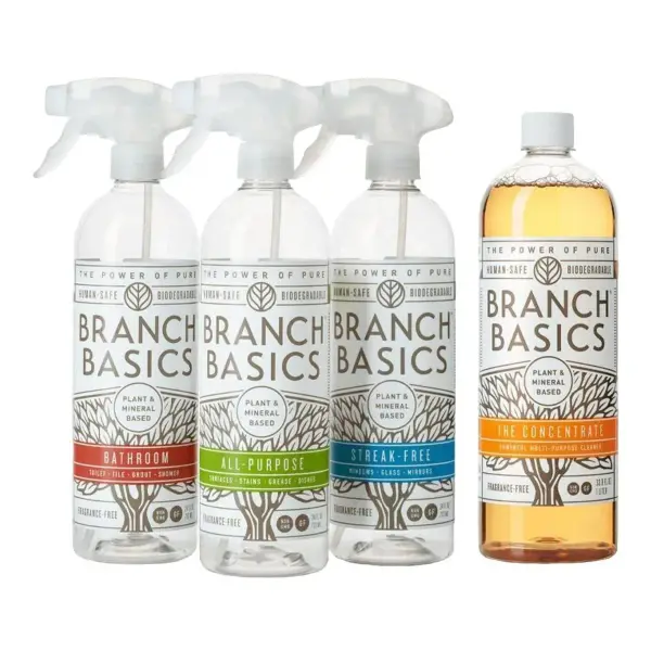 Cleaning Essentials Kit