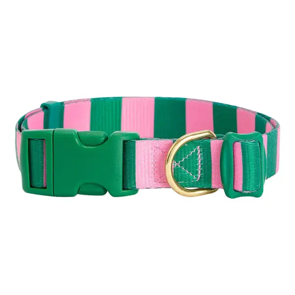 Dog Collar