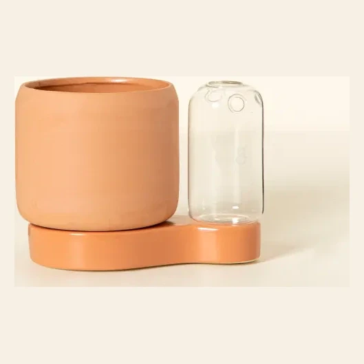 Self-Watering Planter & Propagation Station