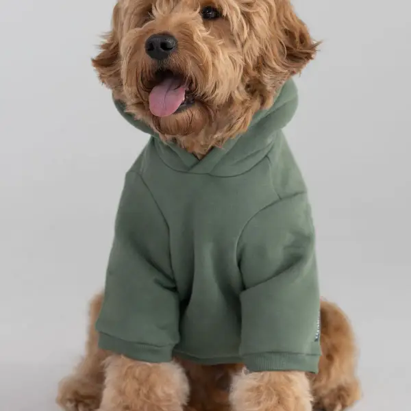 Standard Paw Hoodie