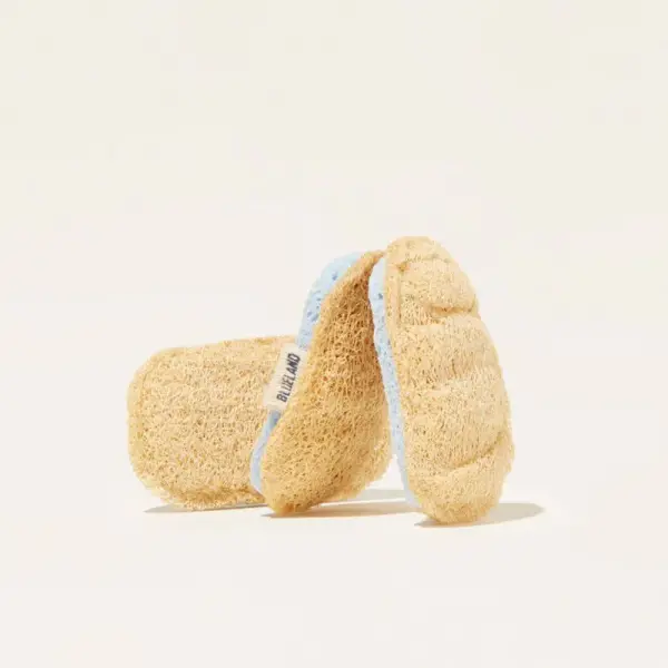 Scrub Sponge