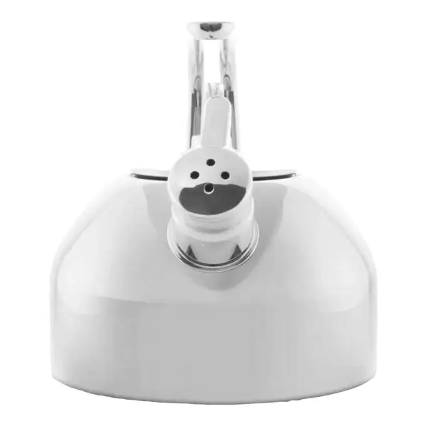 Classic Polished Stainless Steel Whistling Tea Kettle