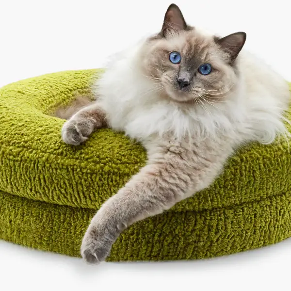 The Bungalow Cat Bed