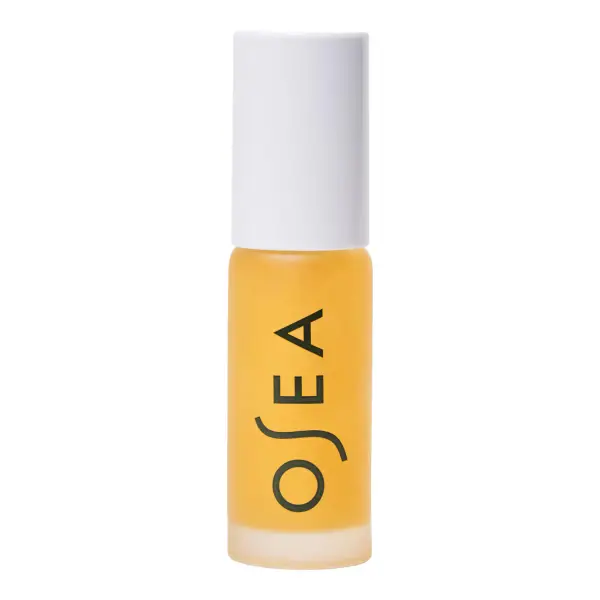 Hyaluronic Acid Lip Booster