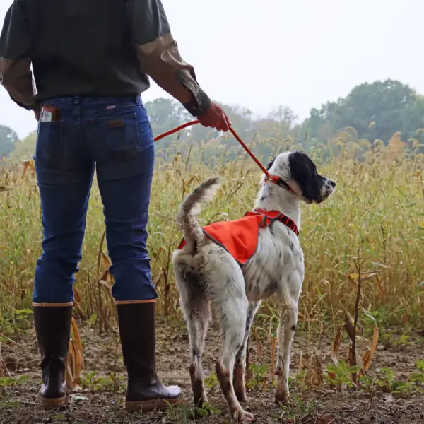 Reflective Dog Safety Vest