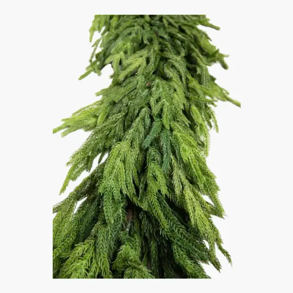 Real Touch Deluxe Norfolk Pine Garland 96"