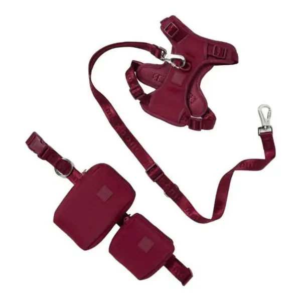 Go! With Ease Leash Bundle