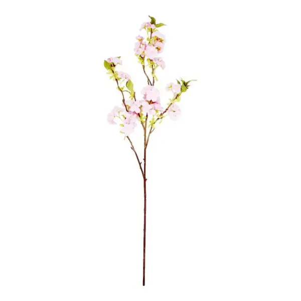 Cherry Blossom Branch