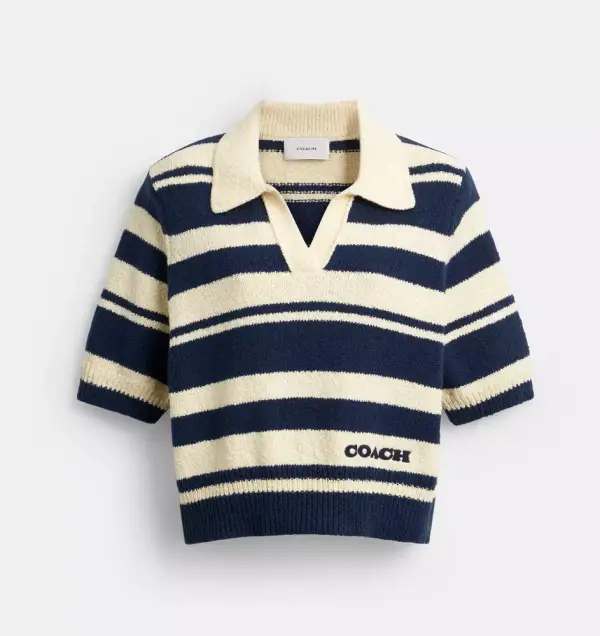 Striped Knit Polo