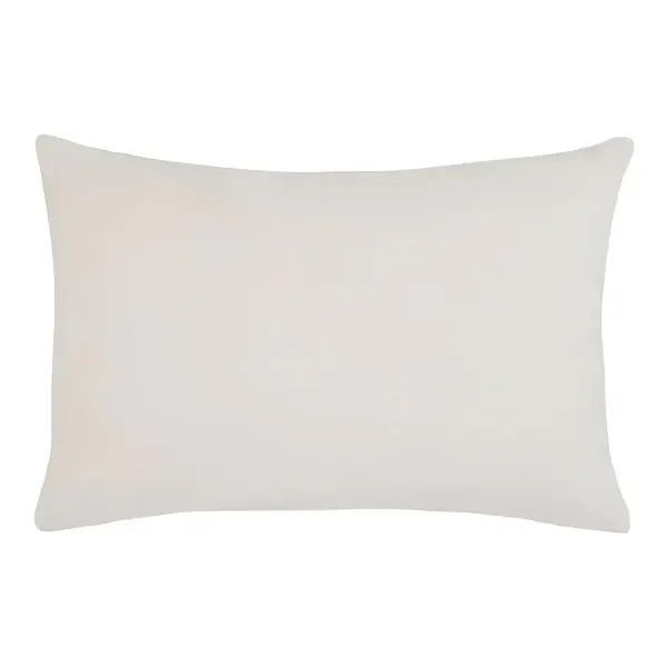 Charlotte Velvet Pillow