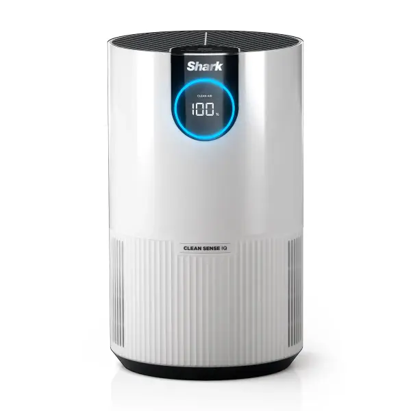 Air Purifier With True Hepa