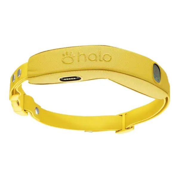 Collar 4 - GPS Dog Fence