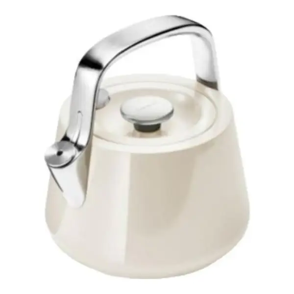 Stainless Steel Tea Kettle