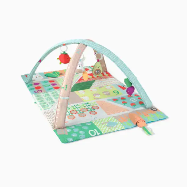 Skip Hop Farmstand Activity Gym