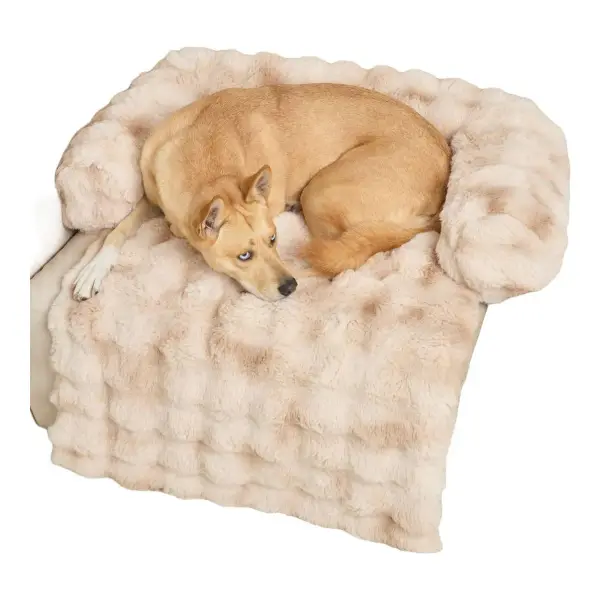 Dream Cloud Pet Sofa Bed