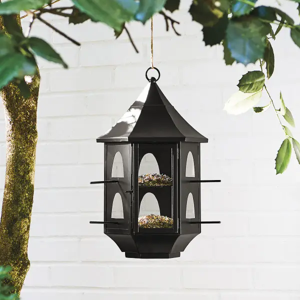 Bird Feeder