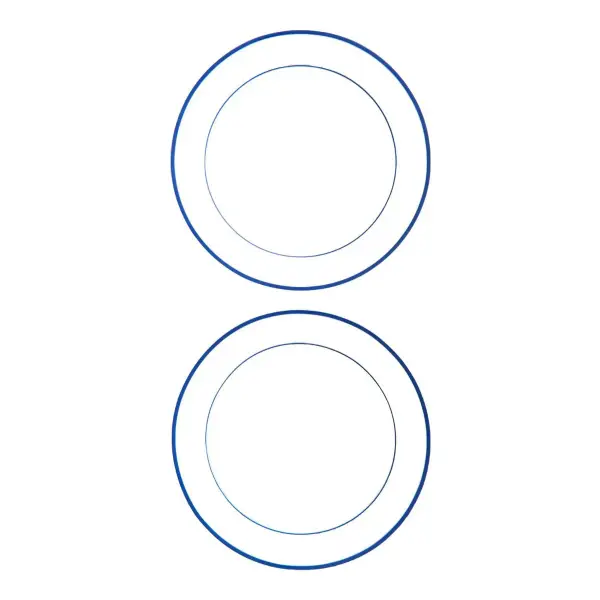 2-Pack Porcelain Dinner Plates
