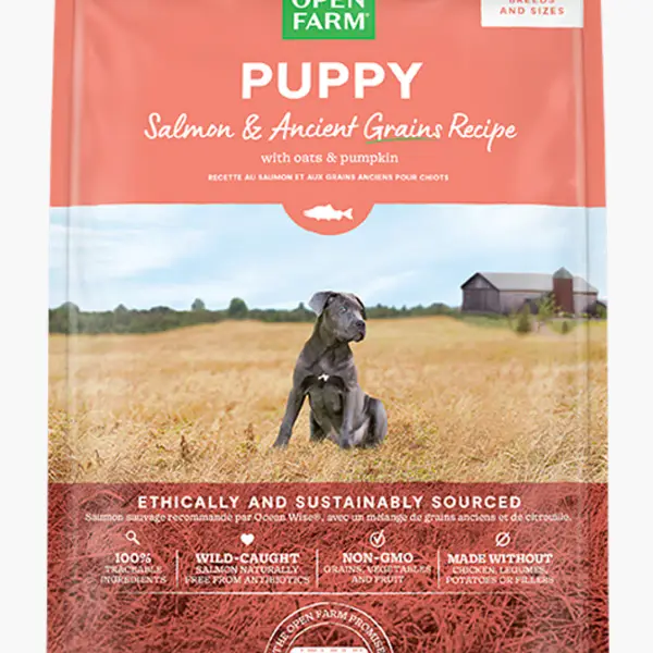 Salmon & Ancient Grains Puppy Kibble