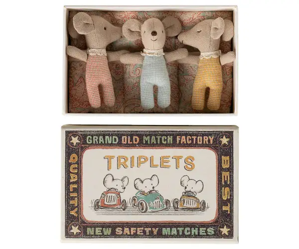 Triplets, Baby mice in matchbox