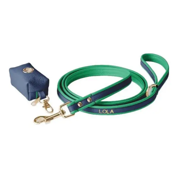 Two-Color Leather Dog Leash Set