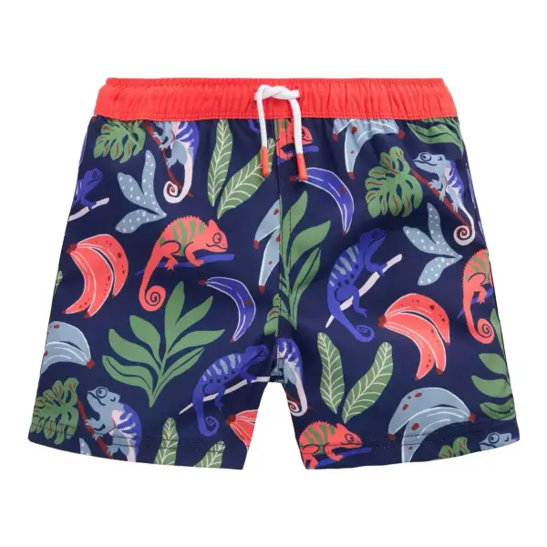 Swim Shorts