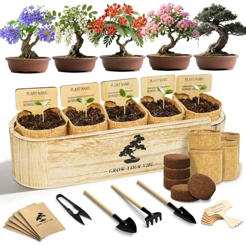 LUOJIBIE Bonsai Tree Kit for Beginners - Unique Gifts for Women, Crafts for Adults, for Women & Men,Complete Indoor Plant Kit,Easy House Plant