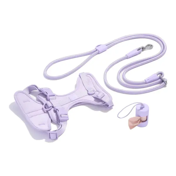 Cushioned Harness + Hands-Free Rope Leash Walk Kit