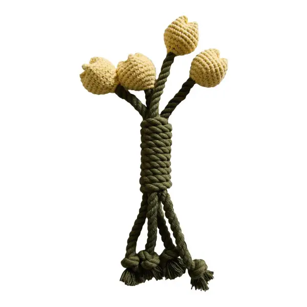 Tulip Bouquet Pet Toy