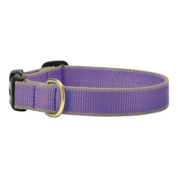 Color Market Collar