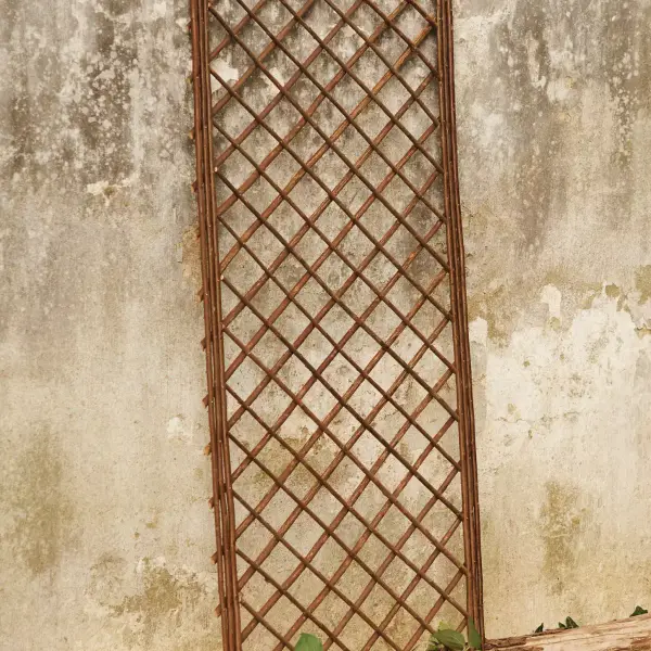 Rectangle Willow Trellis, Set of 2