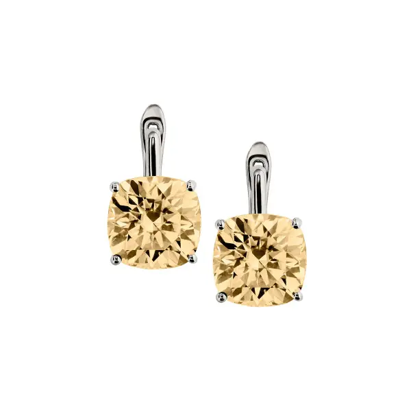 Porter Cushion Cut Earrings