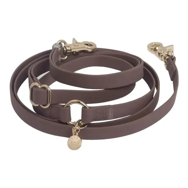 4-in-1 Convertible Hands Free Cloud Dog Leash