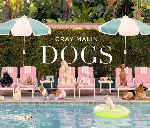 Dogs