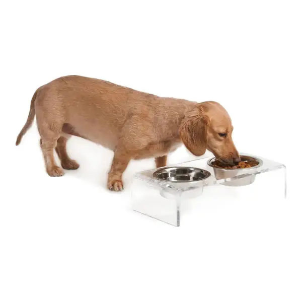 Small Feeder