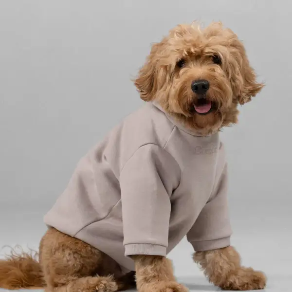 Signature Paw Hoodie