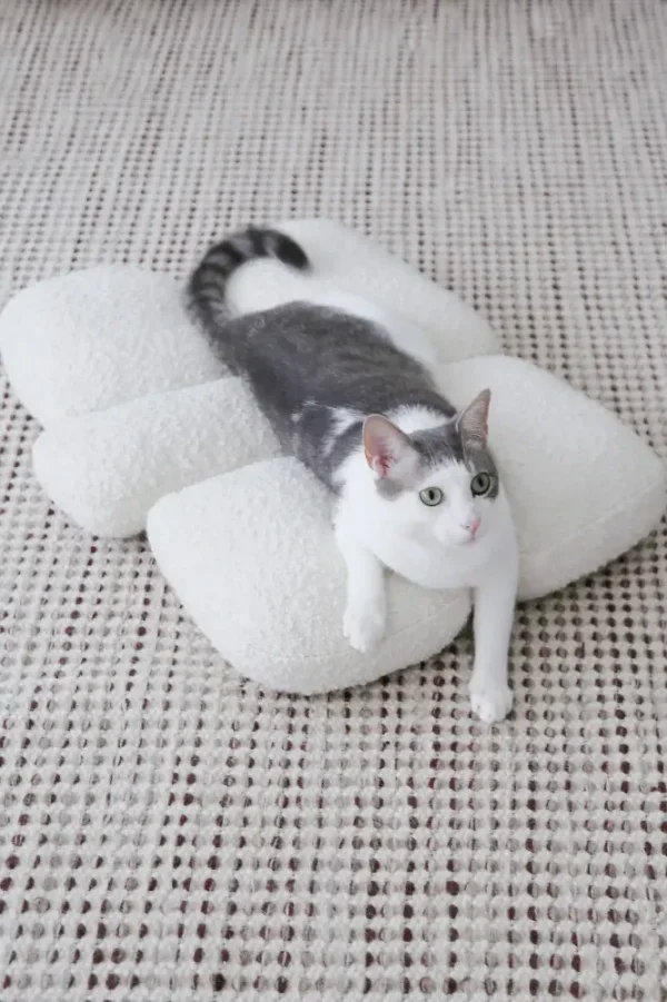 Catenary Pebble Pet Bed